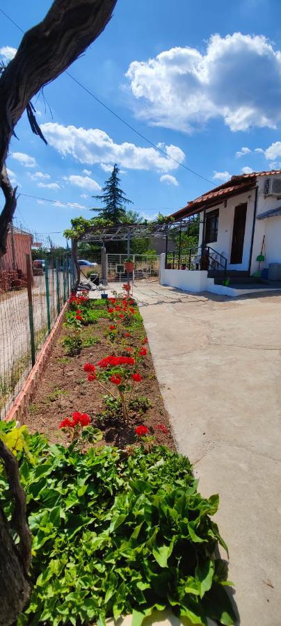 Stella House Villa Theologos  Bagian luar foto